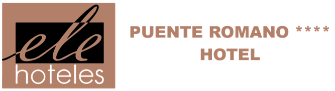  Ele Puente Romano, Salamanca