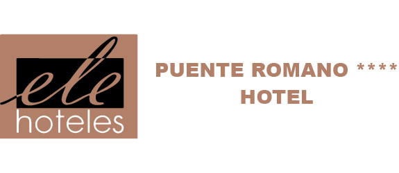  Ele Puente Romano, Salamanca